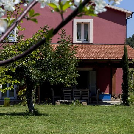 Agriturismo Campoletizia Miglianico Dış mekan fotoğraf