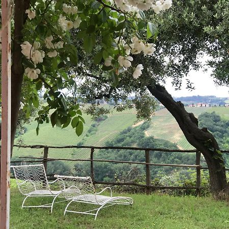 Agriturismo Campoletizia Miglianico Dış mekan fotoğraf