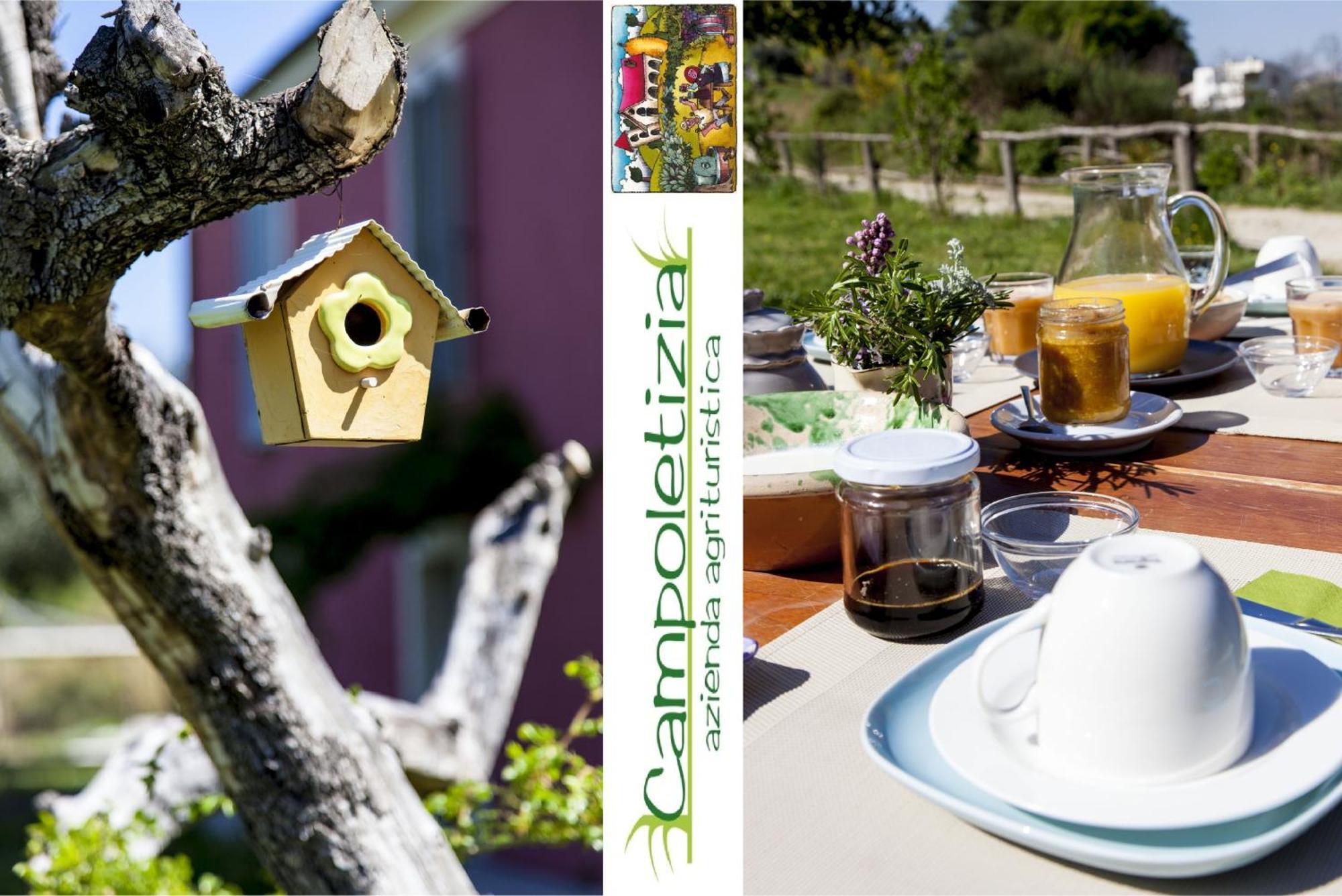 Agriturismo Campoletizia Miglianico Dış mekan fotoğraf