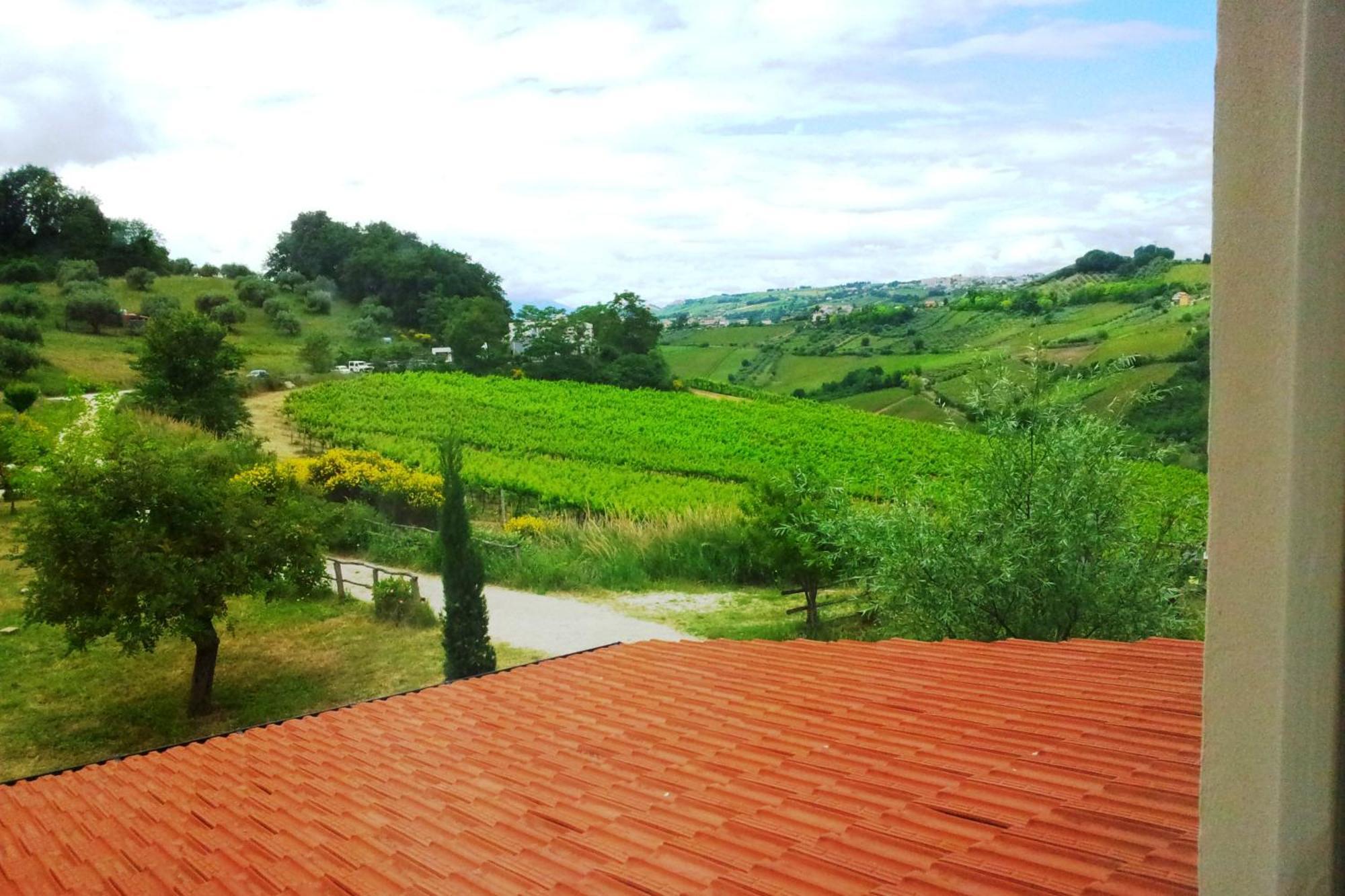 Agriturismo Campoletizia Miglianico Oda fotoğraf