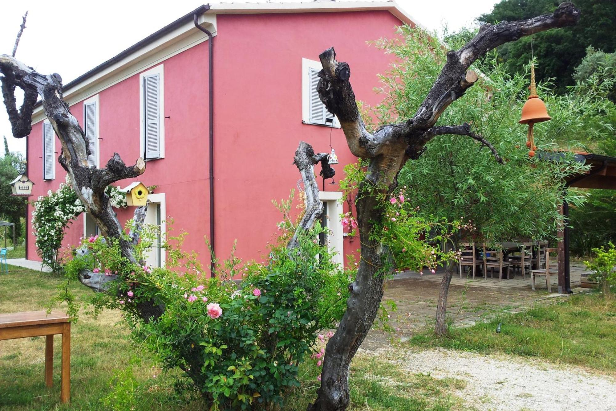 Agriturismo Campoletizia Miglianico Dış mekan fotoğraf