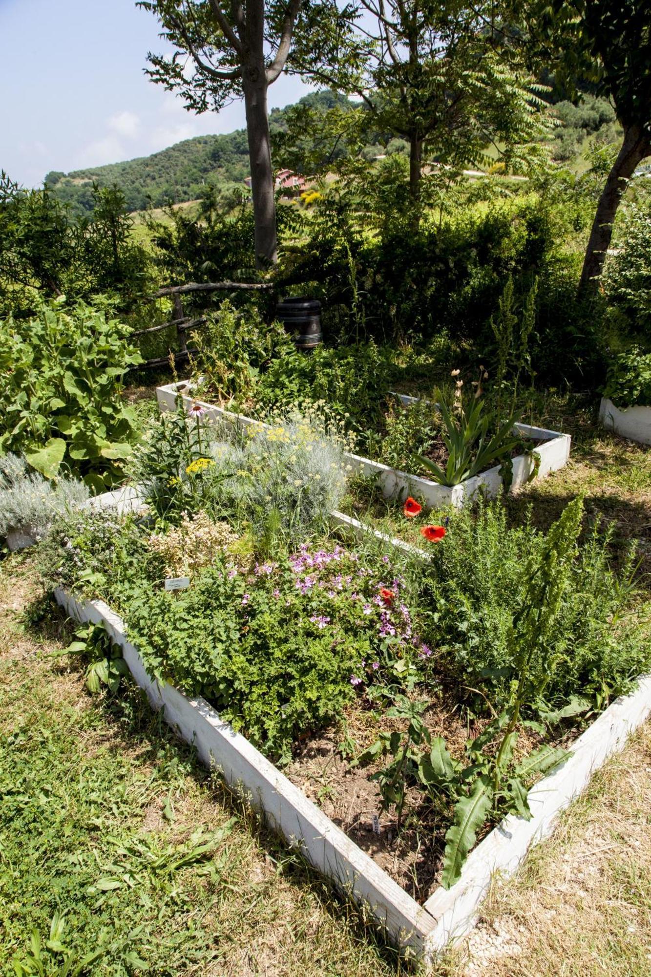 Agriturismo Campoletizia Miglianico Dış mekan fotoğraf