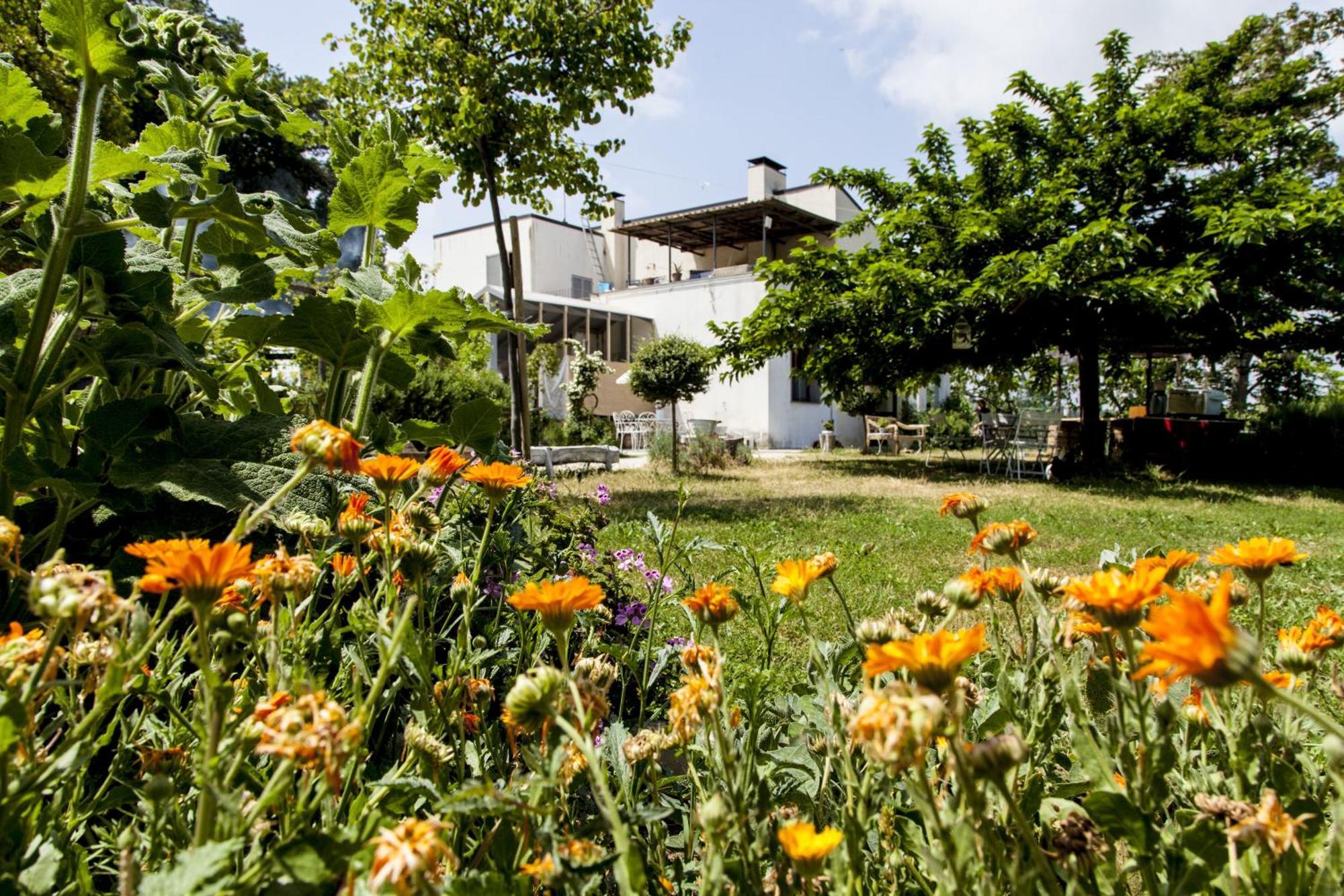 Agriturismo Campoletizia Miglianico Dış mekan fotoğraf
