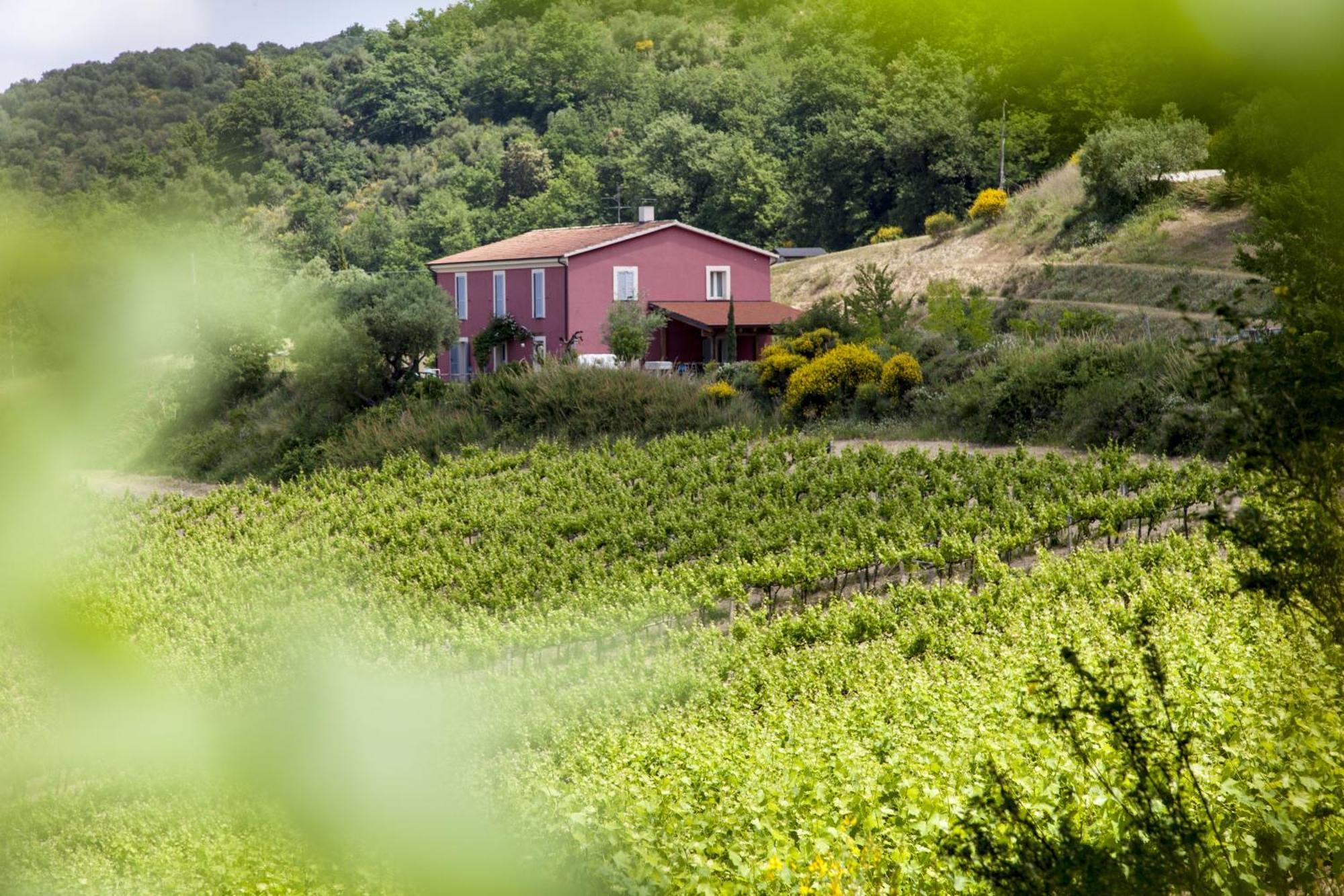 Agriturismo Campoletizia Miglianico Dış mekan fotoğraf