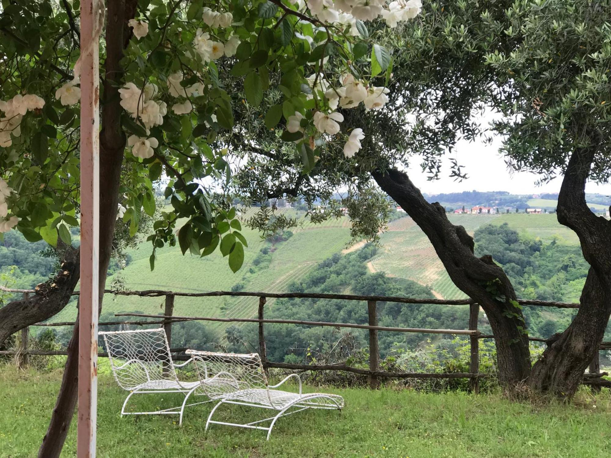 Agriturismo Campoletizia Miglianico Dış mekan fotoğraf