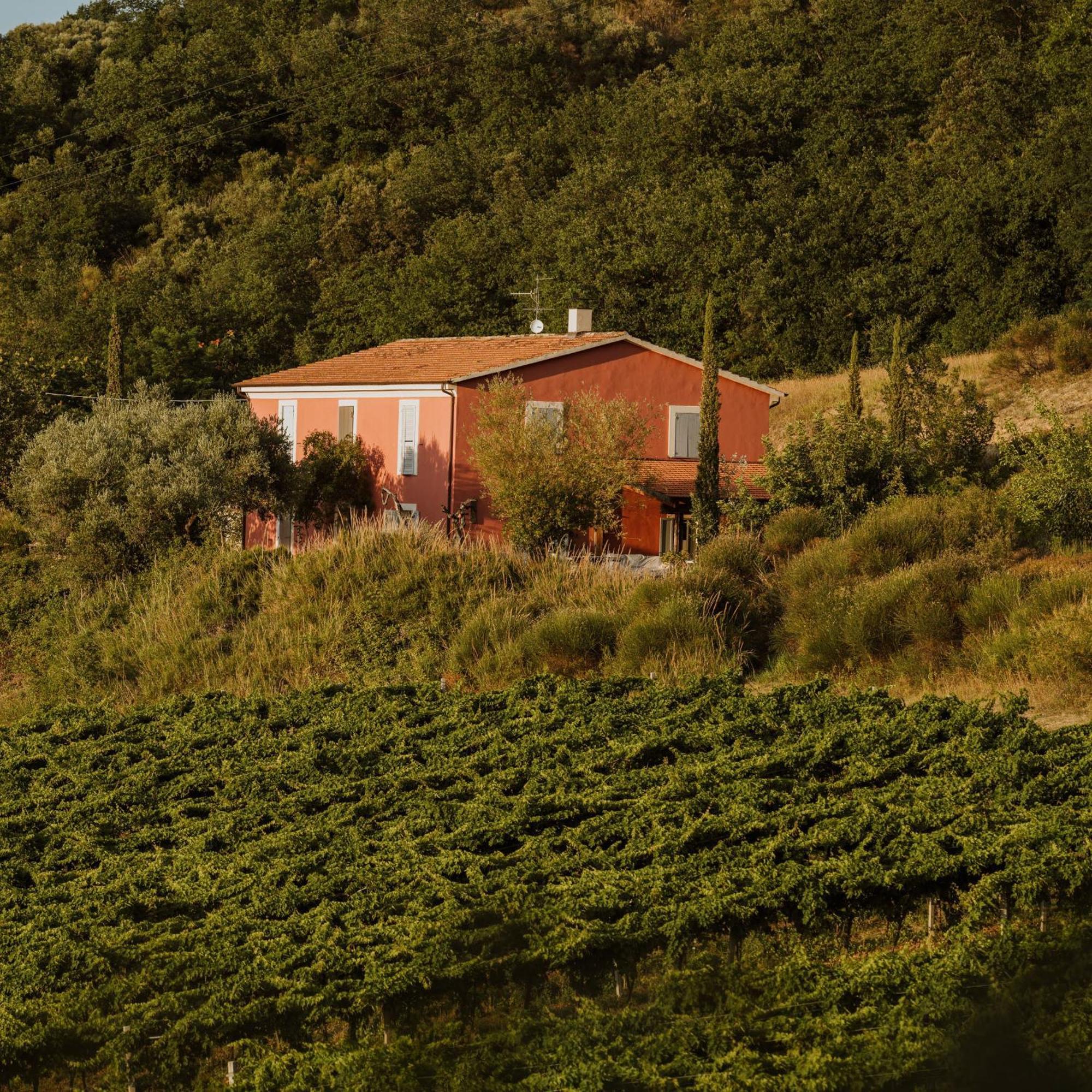 Agriturismo Campoletizia Miglianico Dış mekan fotoğraf