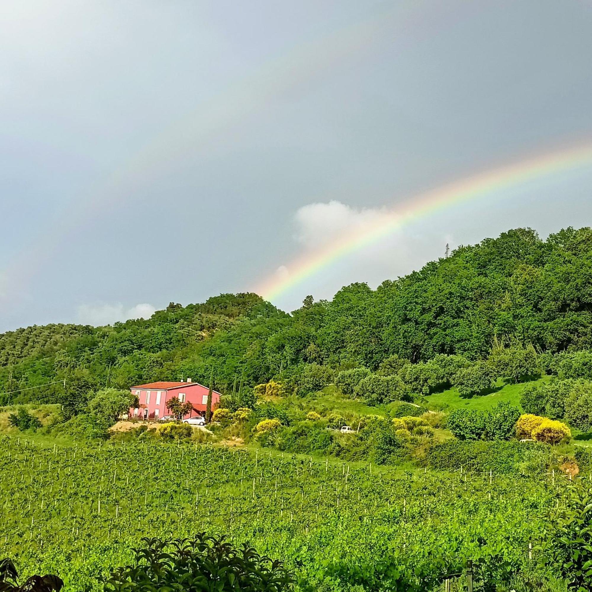 Agriturismo Campoletizia Miglianico Dış mekan fotoğraf